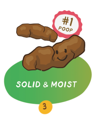 SOLID & MOIST